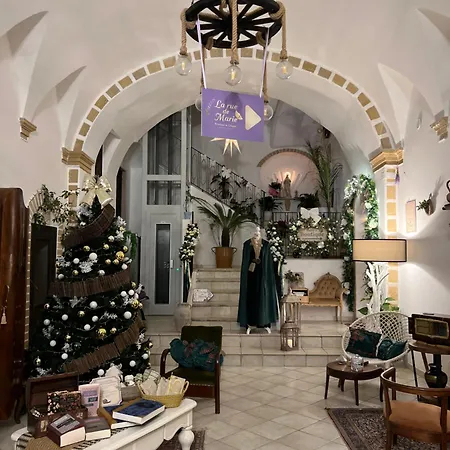 Elettra Apartament *